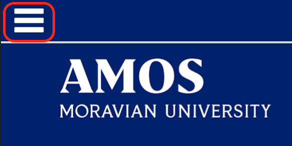 AMOS Mobile View